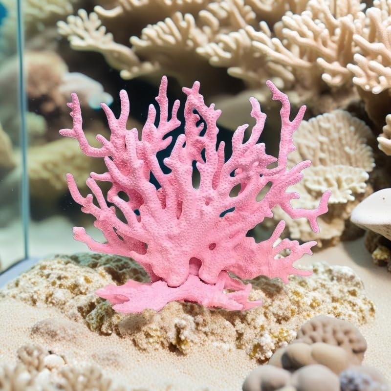 SwandTanpand easy-clean damp-wipe ornament simplifies tank maintenance.