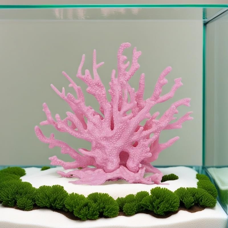 SwandTanpand pink coral close-up showcases detailed ornament for aquariums.