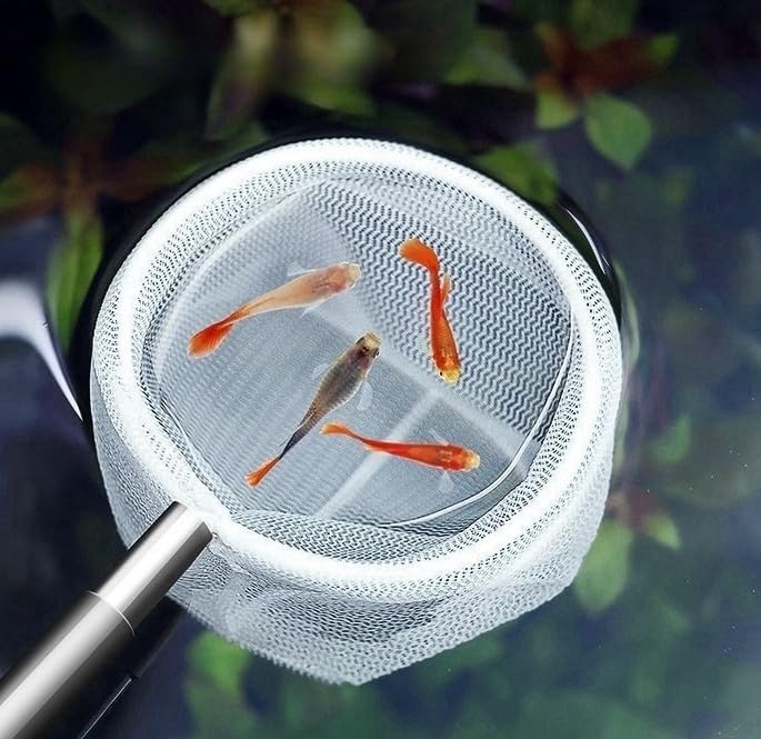 SwandTanpand two-piece set covers shrimp and small fish tasks.