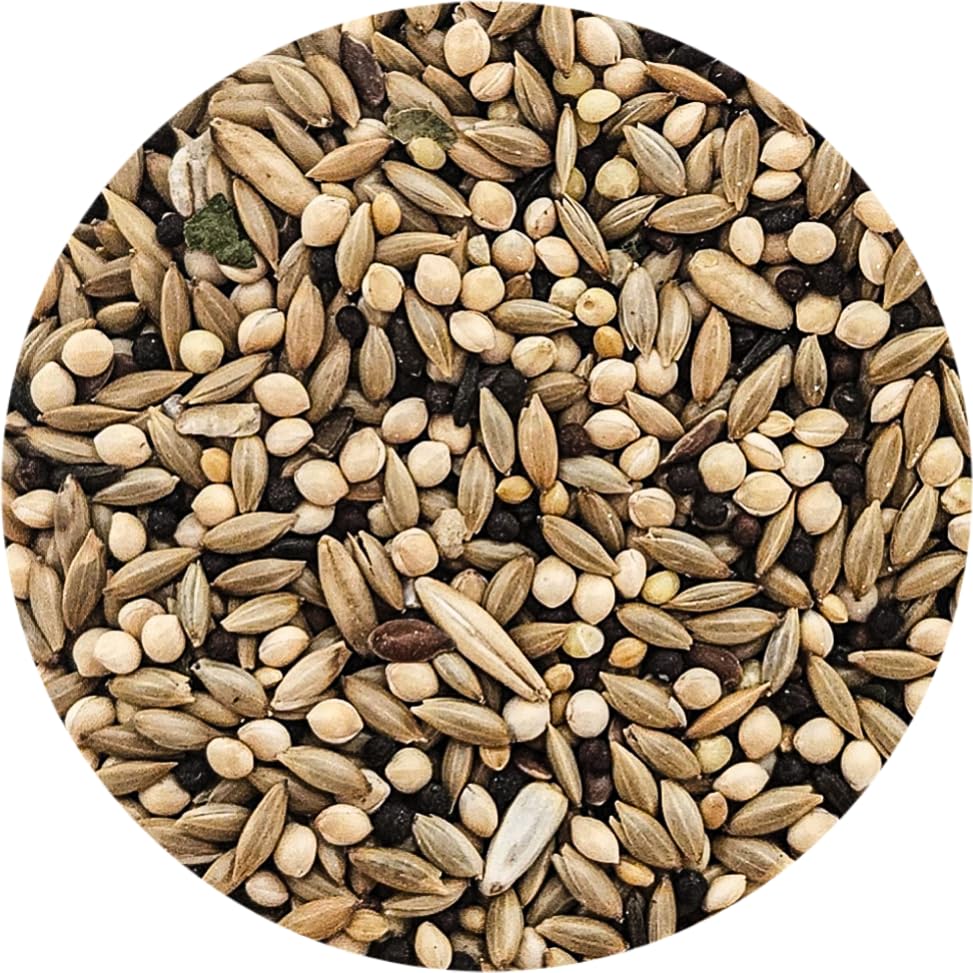 Sweet Harvest canaries enjoy the vitamin enriched blend.