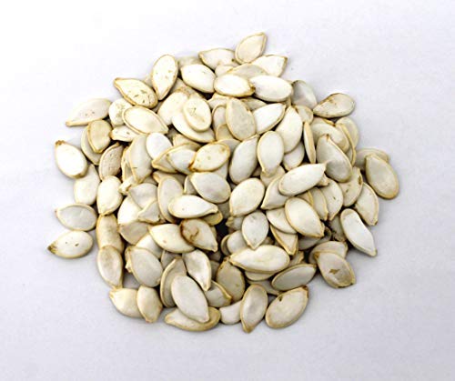 Sweet Harvest pumpkin seeds served in pet bowl with birds and small animals