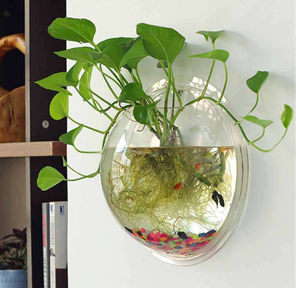 Sweetsea clear acrylic wall bowl close-up shows bright, durable display