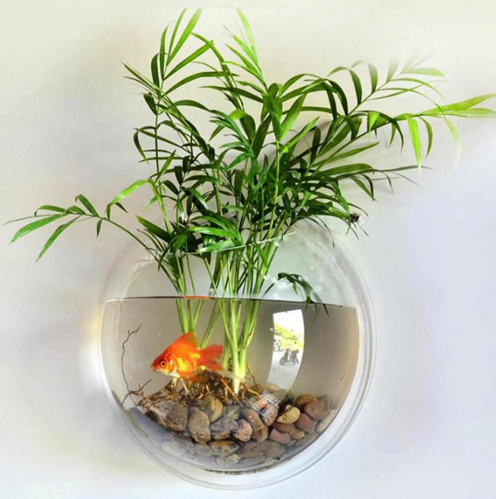 Sweetsea compact aquarium decor display in a modern wall setup