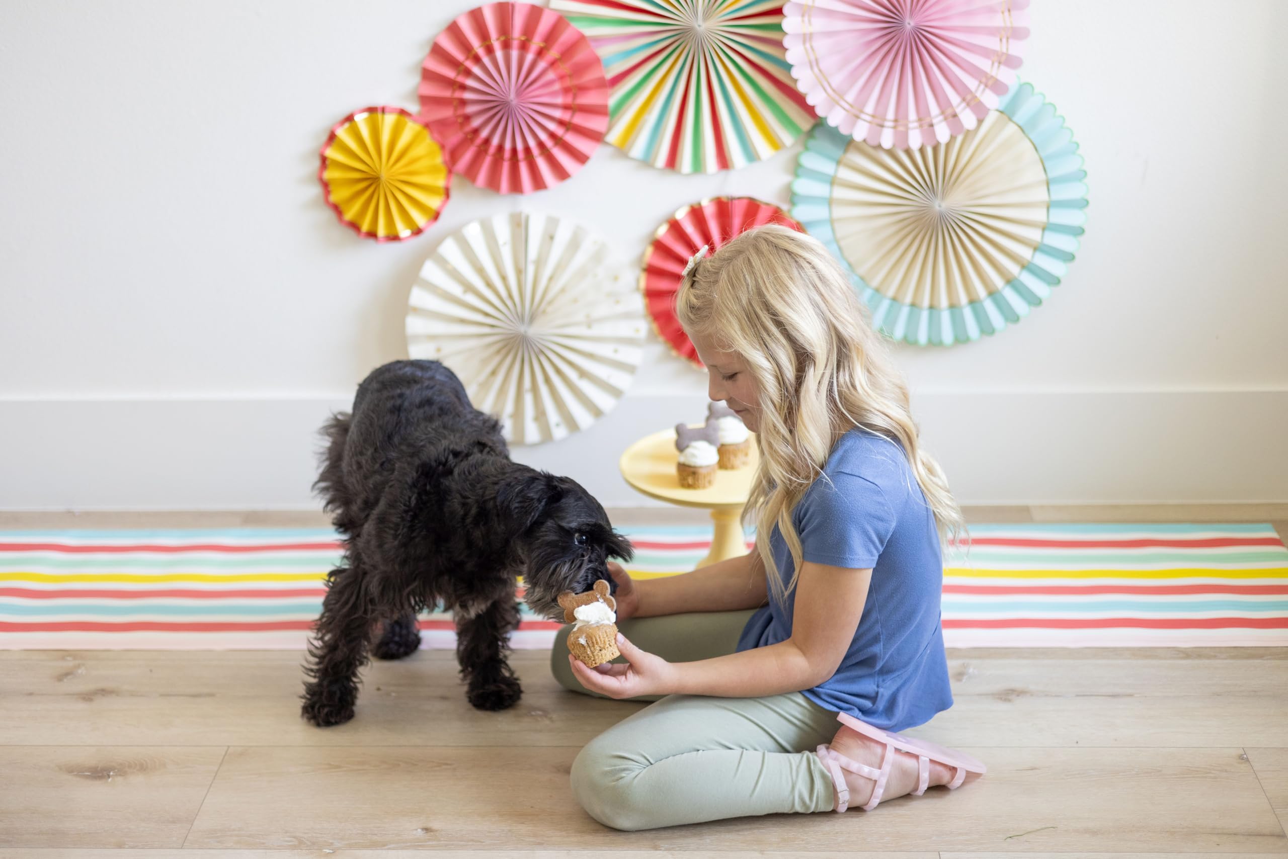sweetshop Pawstry Shop final cake slice ready for sharing with your dog.