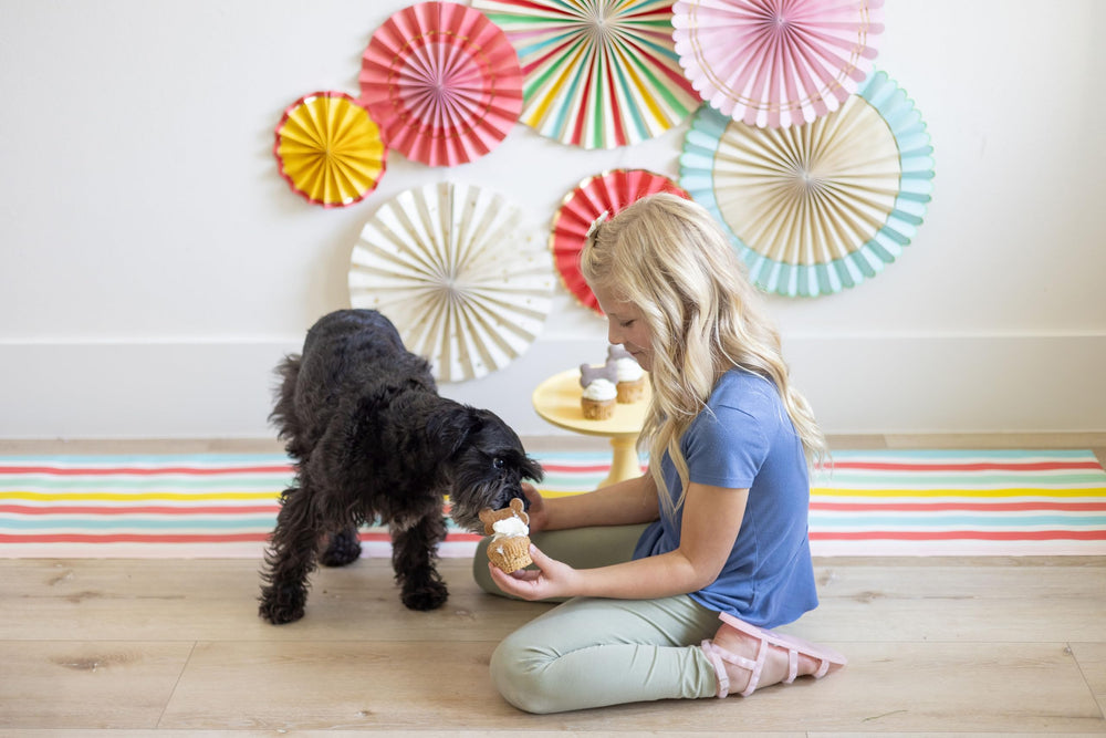 sweetshop Pawstry Shop final cake slice ready for sharing with your dog.