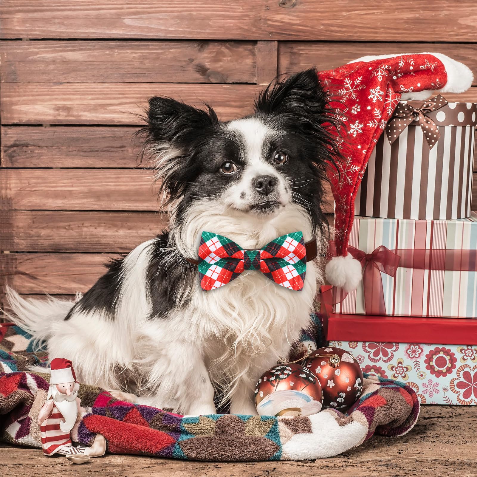 Sweetude bulk puppy accessories bows for grooming and gifts