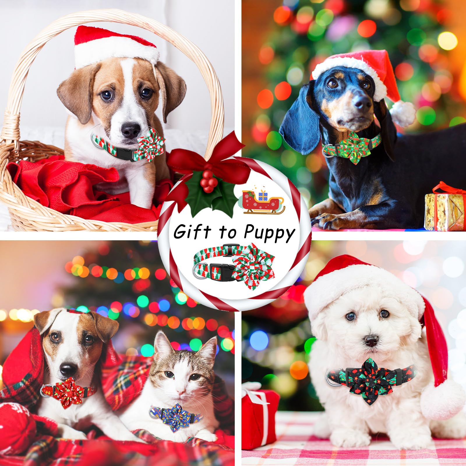 Sweetude adjustable collar illustrates three sizes for a comfortable fit.