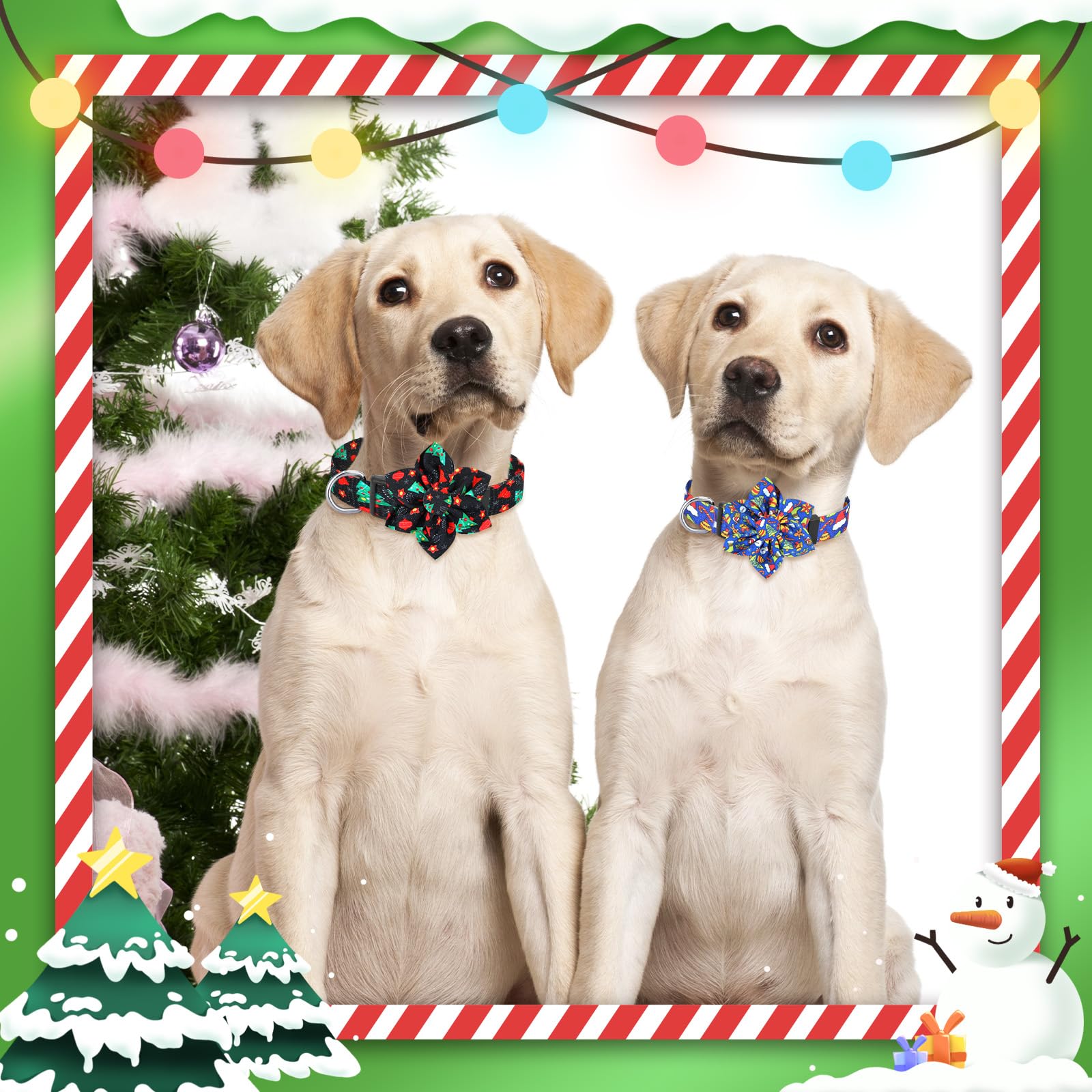 Sweetude Christmas dog collar set with six styles for festive occasions.