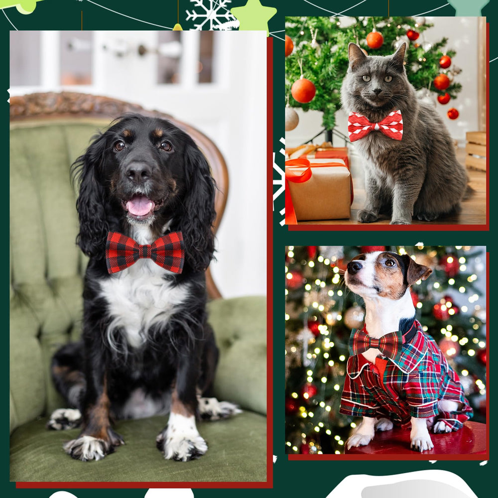 Sweetude detachable collar charms for easy customization