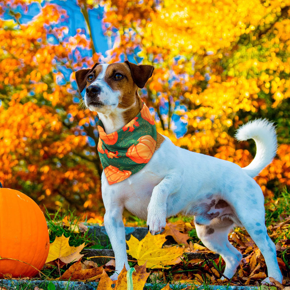 Sweetude maple leaves pattern dog bandana showcases seasonal charm for Thanksgiving outfits