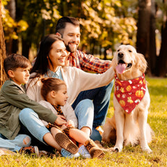 Sweetude model-wear fall bandana demonstrates versatile styling for dogs