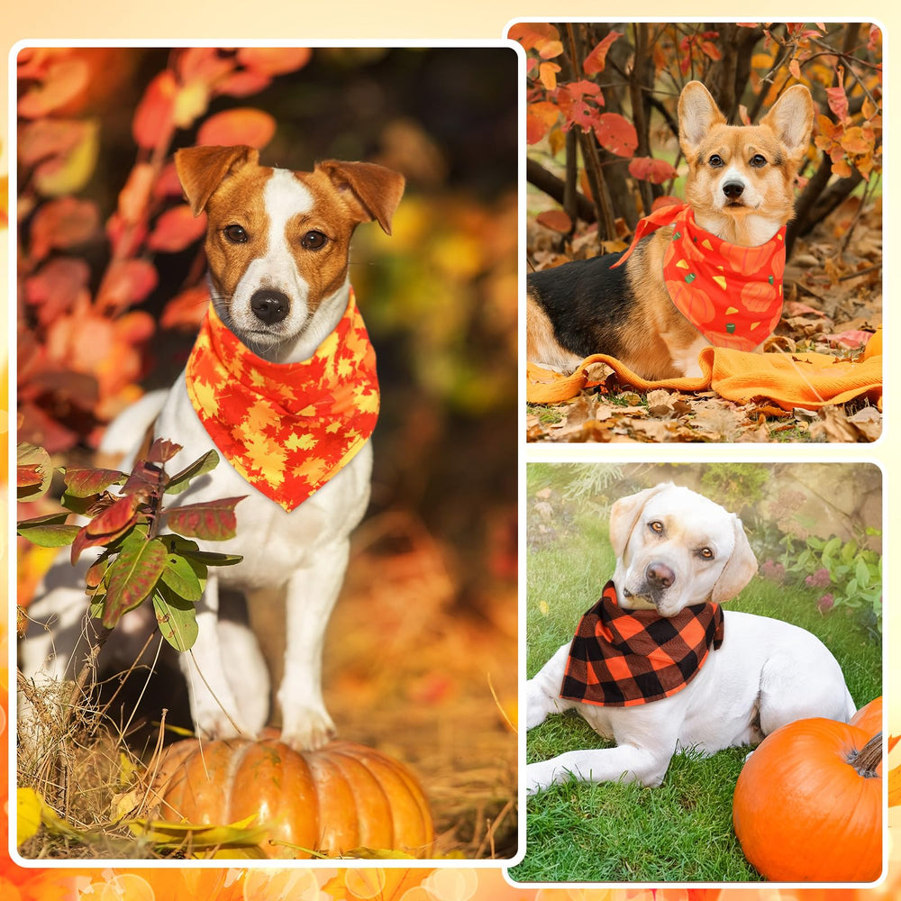 Sweetude photography ideas bandana set enhances fall-themed pet photos and posts