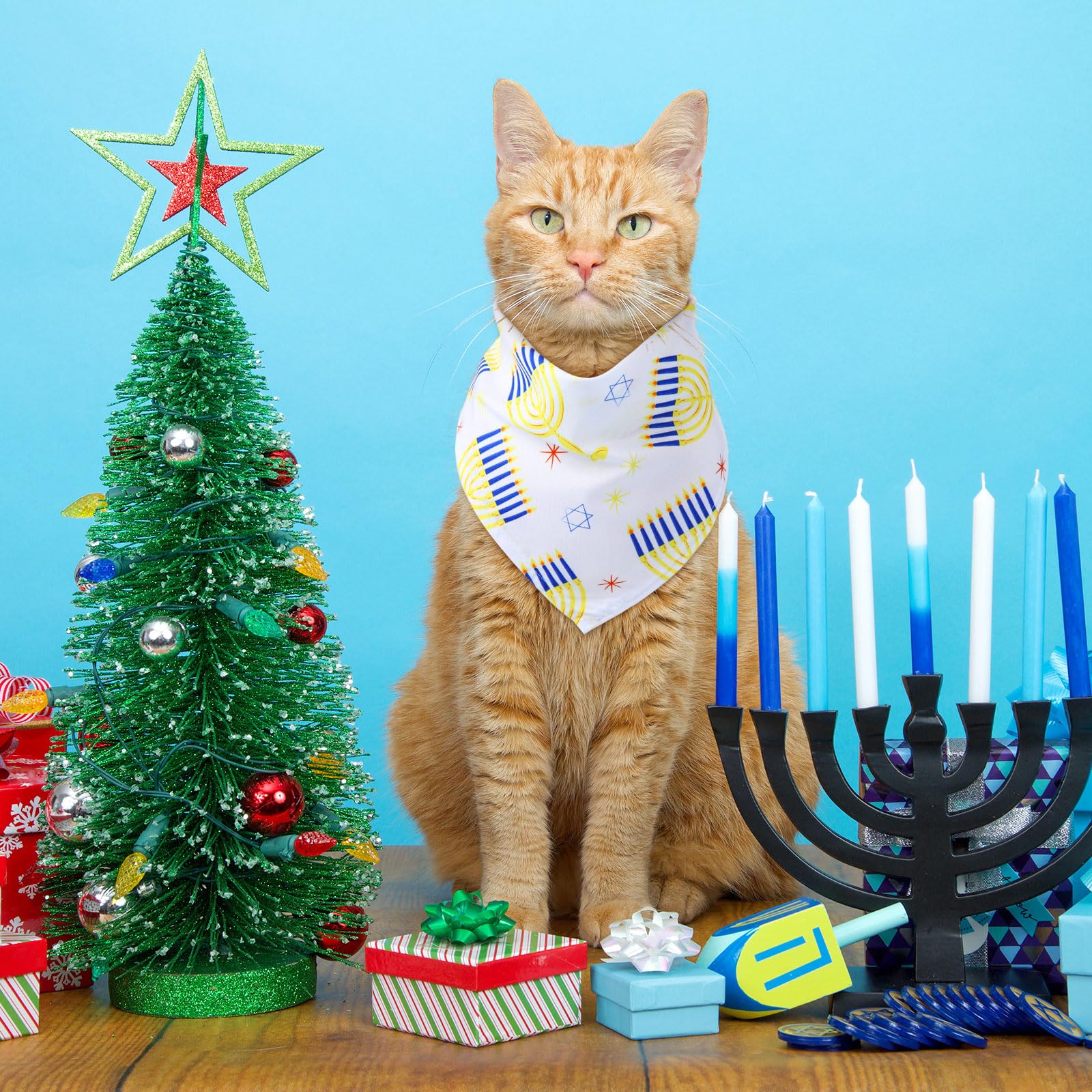 Sweetude Hanukkah dog bandana worn on dog for festive look