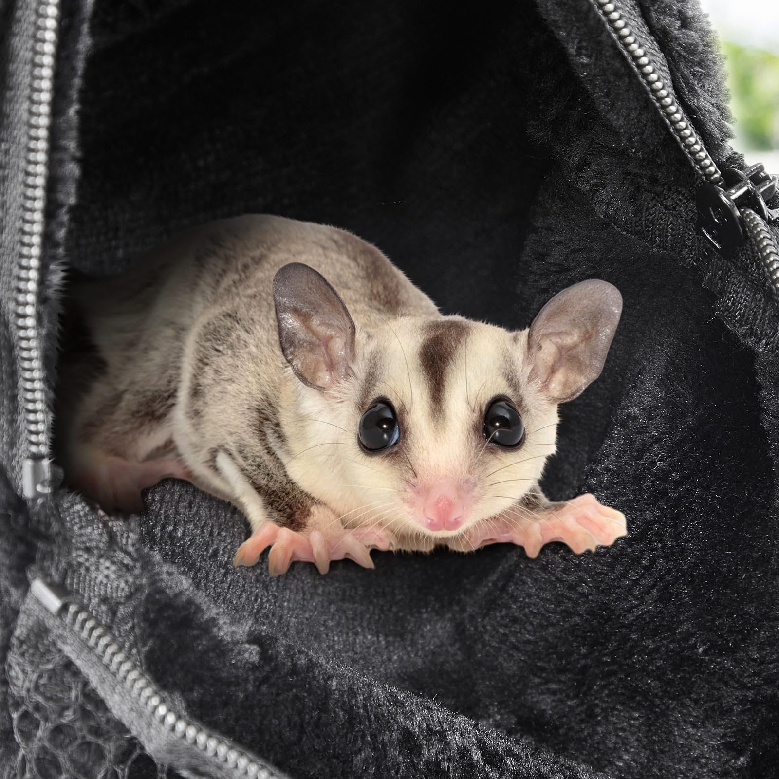 Sweetude pouch size indicator helps match fit for tiny pets.