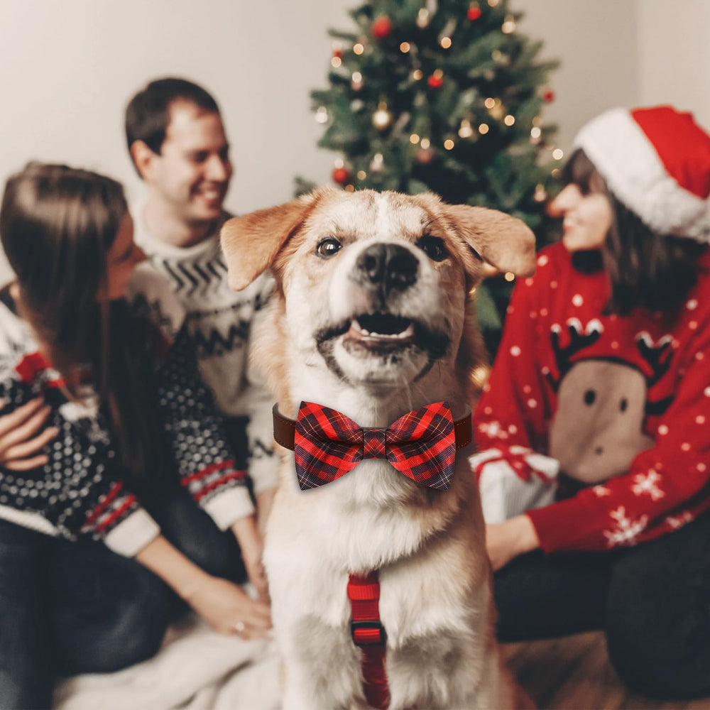 Sweetude winter-themed pet bows ideal for photos and parties