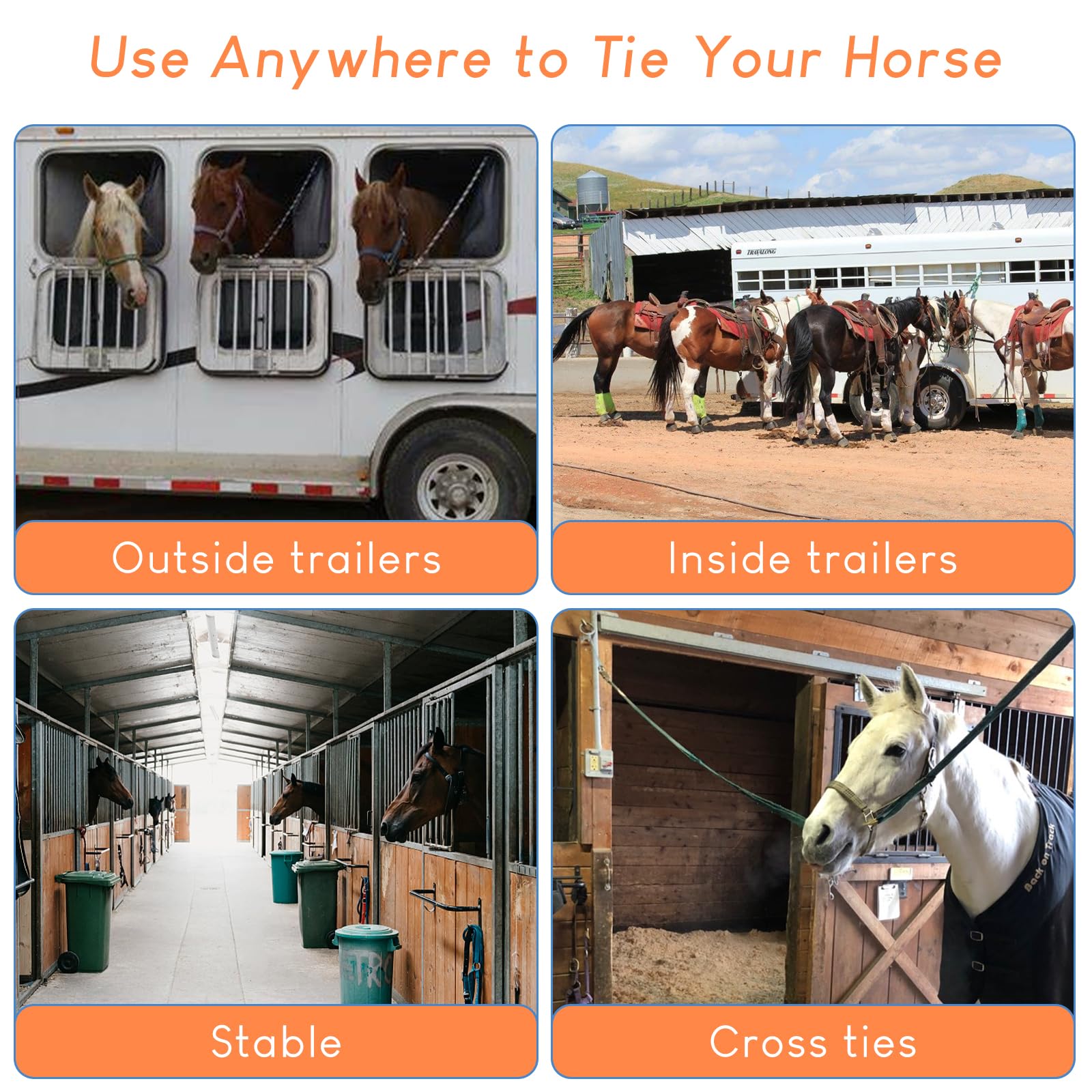 Swess horse tie ring in use for tension management during handling.