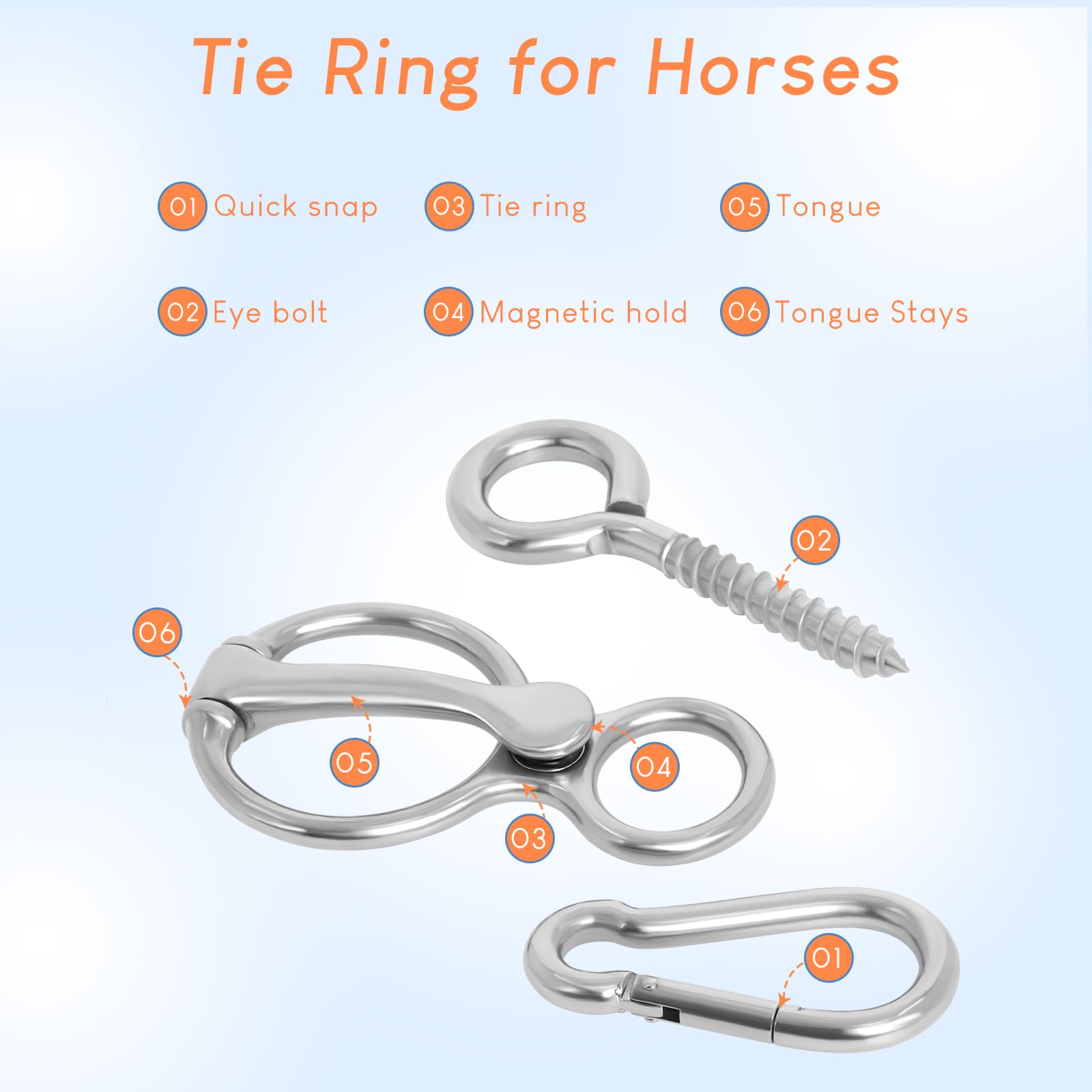 Swess tie ring shown for trailer and grooming area versatility.