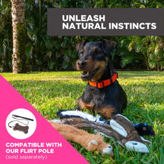 SwiftPaws Critter Pack skunk flag designed for quiet, focused chase sessions.