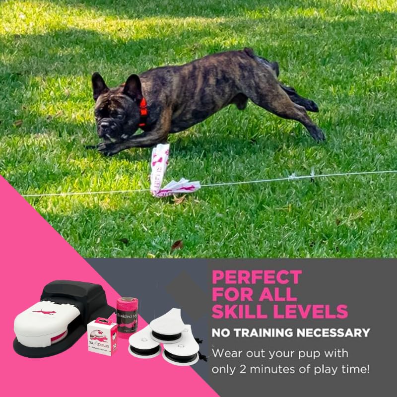 SwiftPaws Home Original line shows motorized lure driving mental and physical engagement.