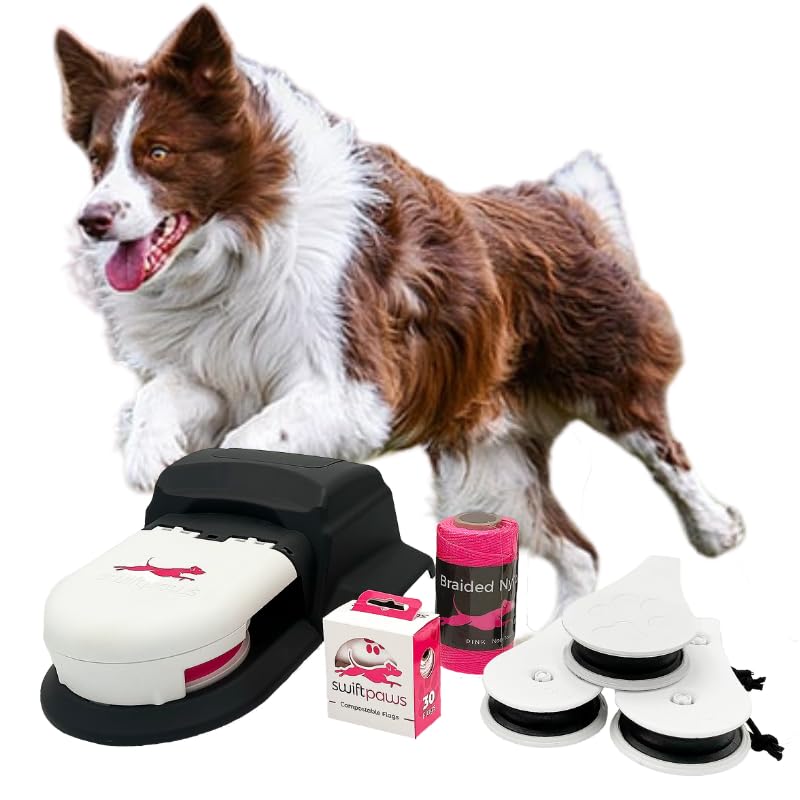 SwiftPaws Home Original main unit promotes active play and canine enrichment in backyards.
