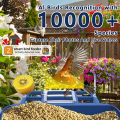 Swingers Smart Bird Feeder exterior IP65 weatherproof for all-season use.