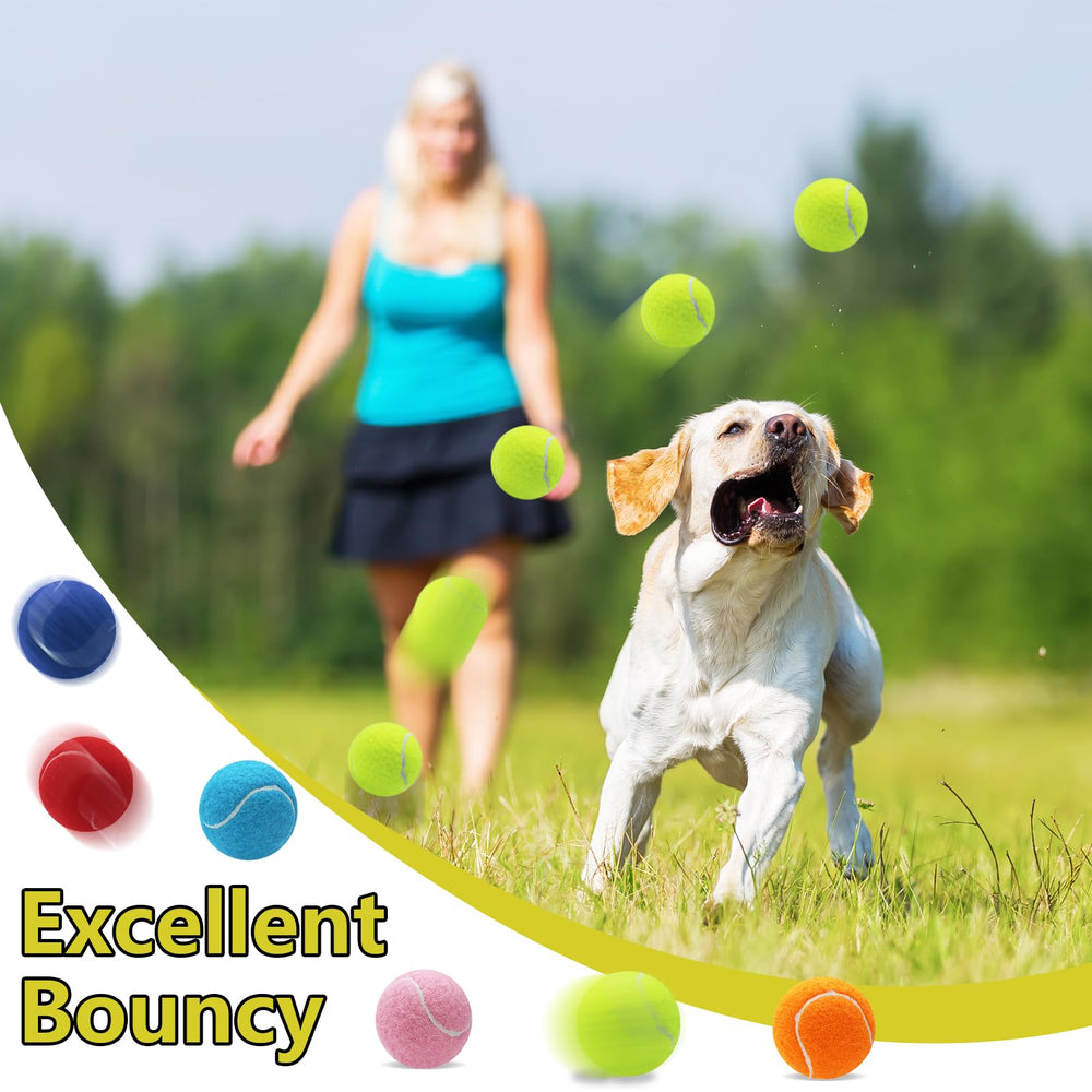 Swingers bright fluorescent balls attract dogs and encourage lively interactive play.