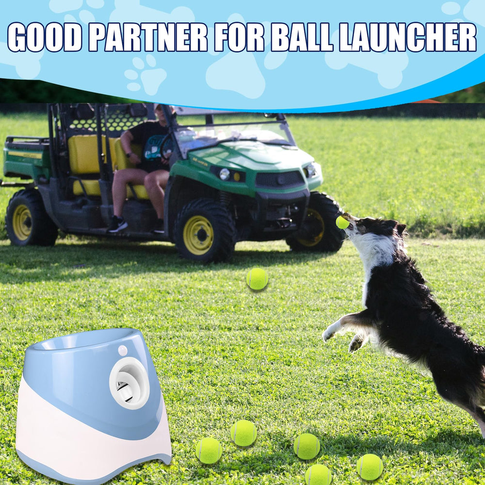 Swingers dog play balls with mesh bag simplify backyard adventures.