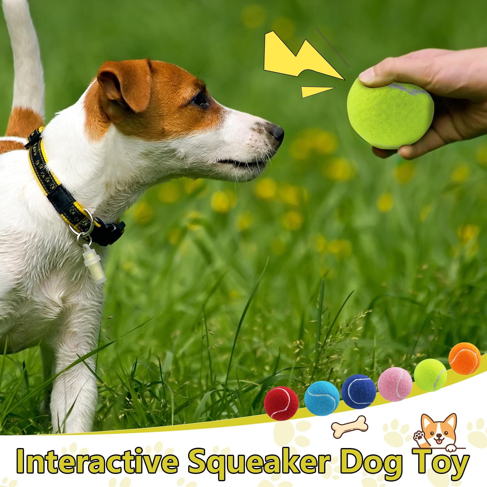 Swingers dog play outdoors with durable squeaky balls for training and exercise.