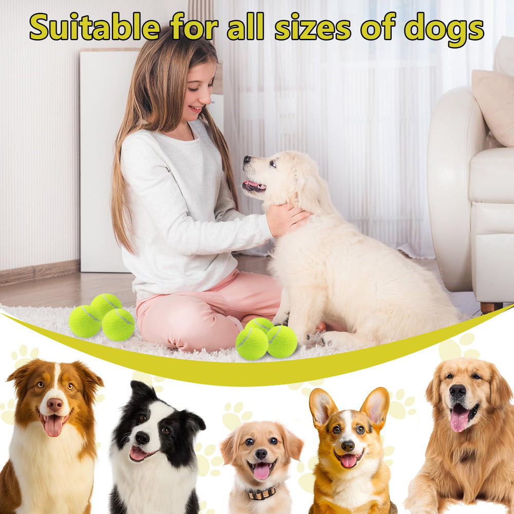 Swingers squeaky tennis balls designed for durability and dog engagement during fetch.