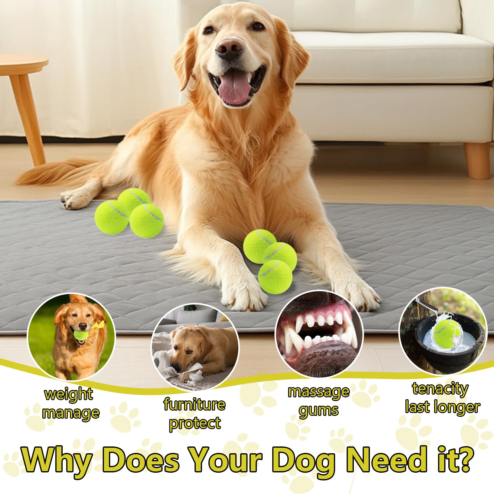Swingers indoor outdoor dog toy set supports versatile play and bonding moments.