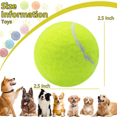 Swingers mesh carry bag with sliding drawstring for easy transport of squeaky balls.