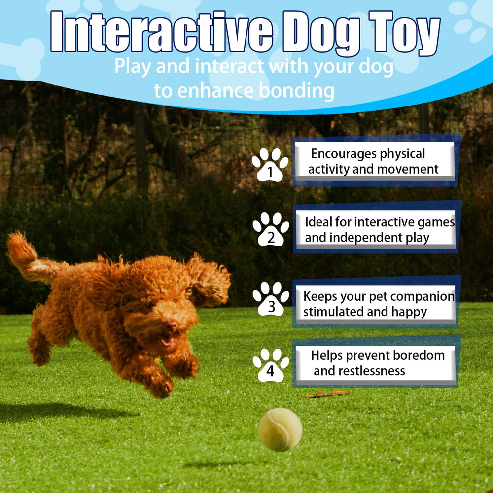 Swingers small tennis balls bounce well for fetch and training.