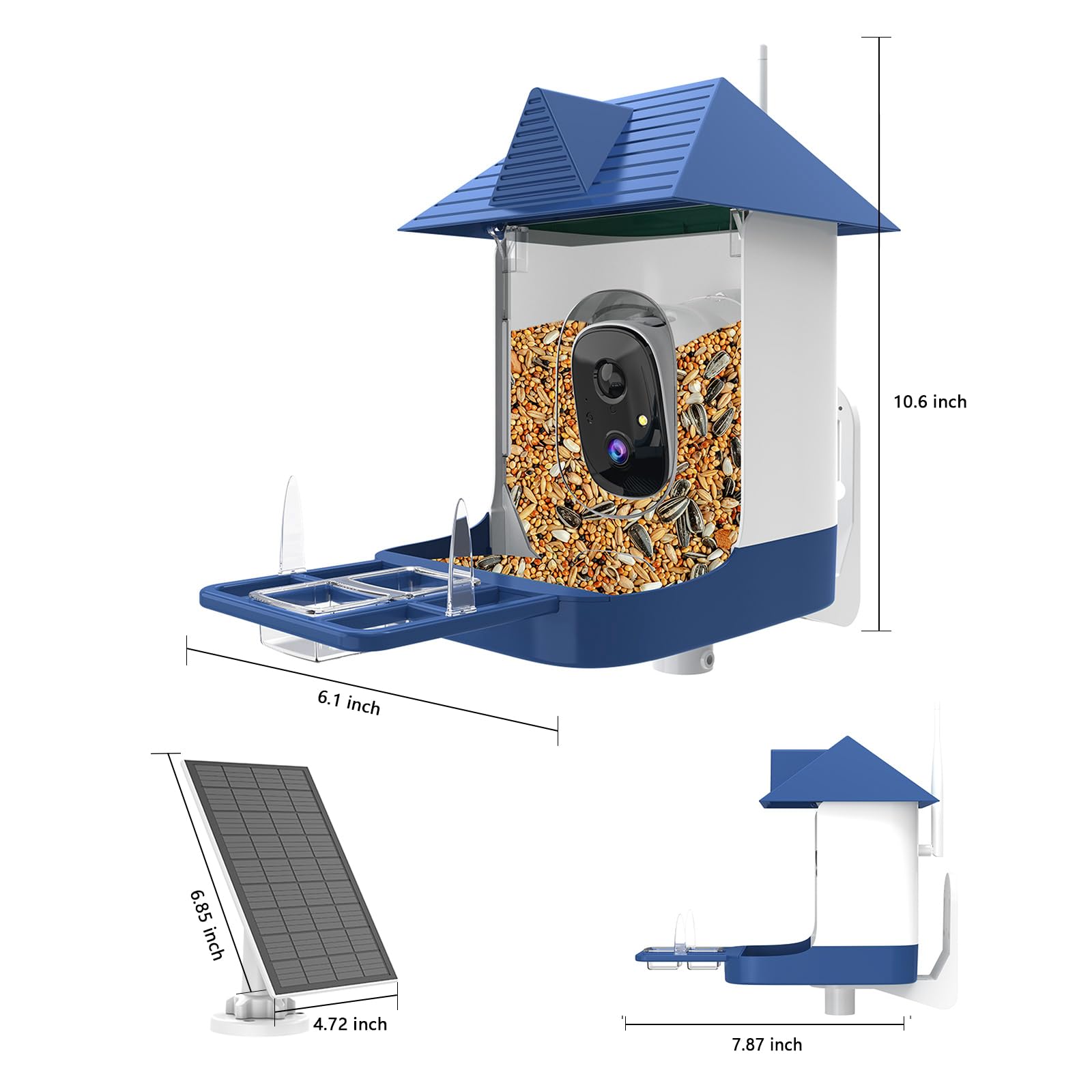 Swingers Smart Bird Feeder camera night view with infrared for clearer colors.