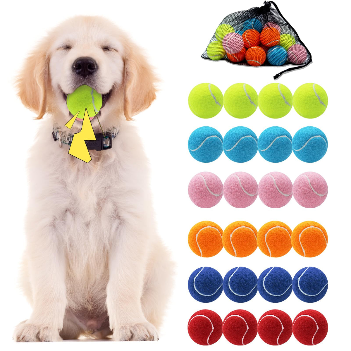 Swingers squeaky tennis balls 24pack in vibrant colors for engaging fetch and training.