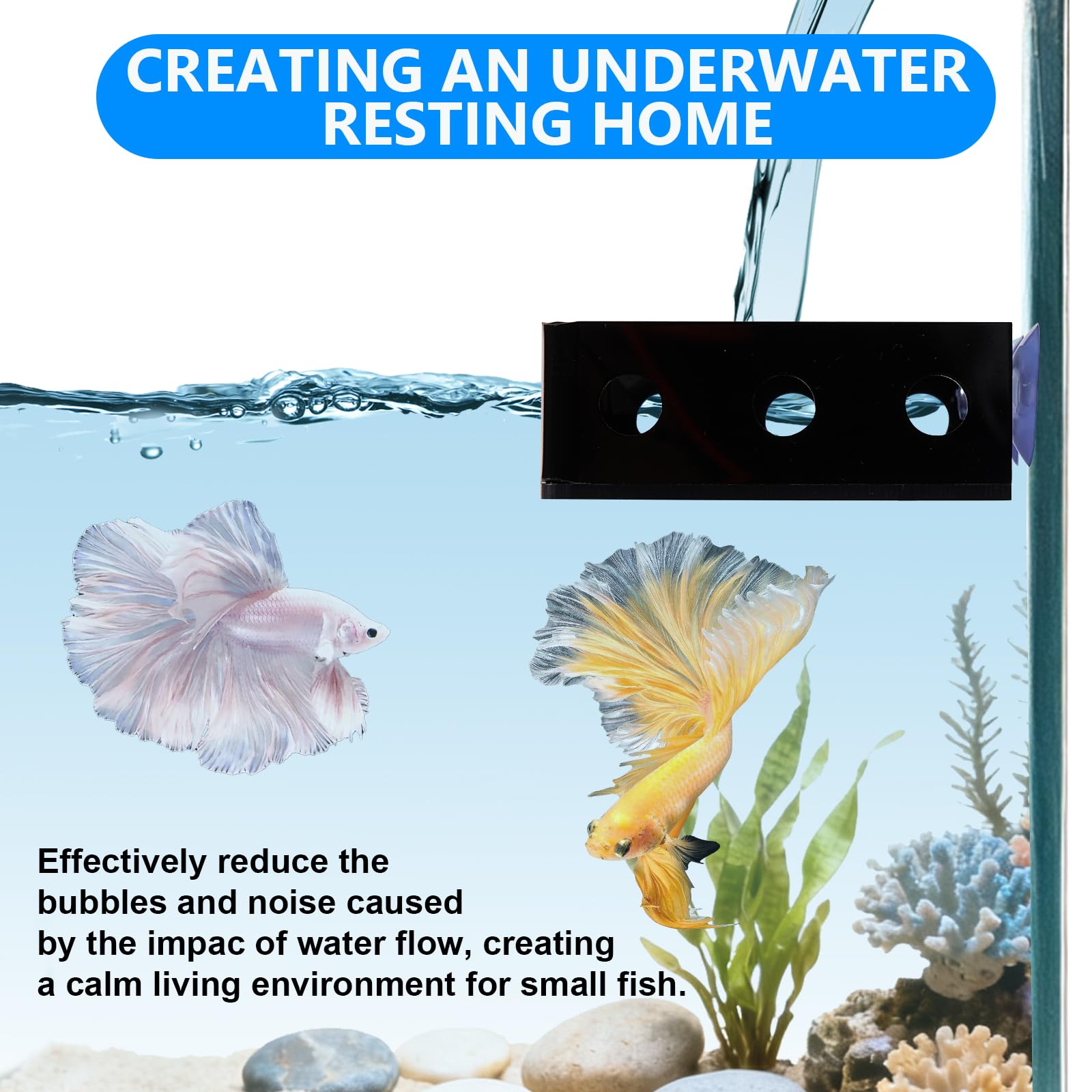 Swirge betta-friendly aquarium baffle supports calm habitats for small fish and shrimp.