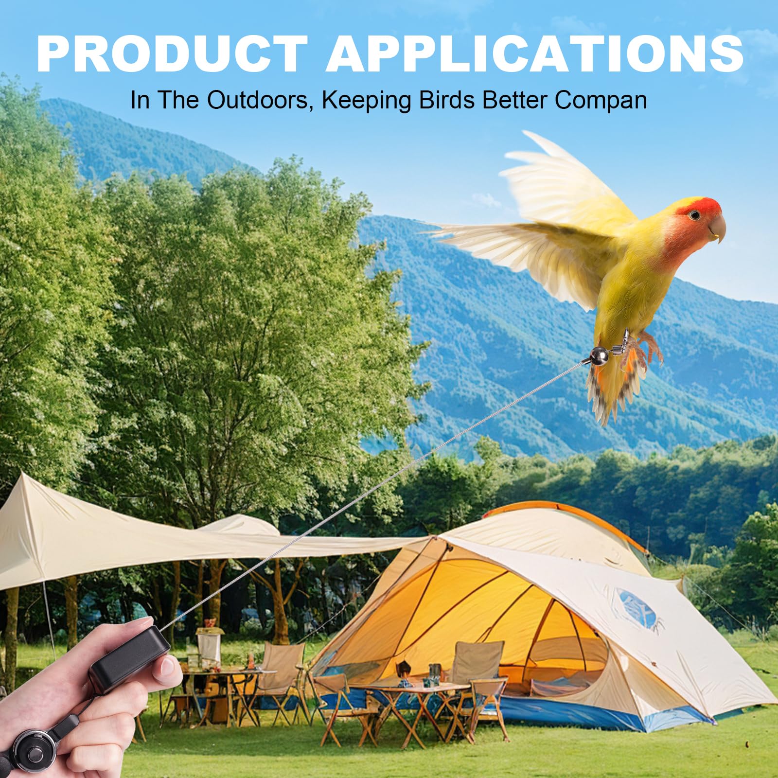 Swirge Bird Leash foot rings in multiple sizes enable a secure fit for various birds.