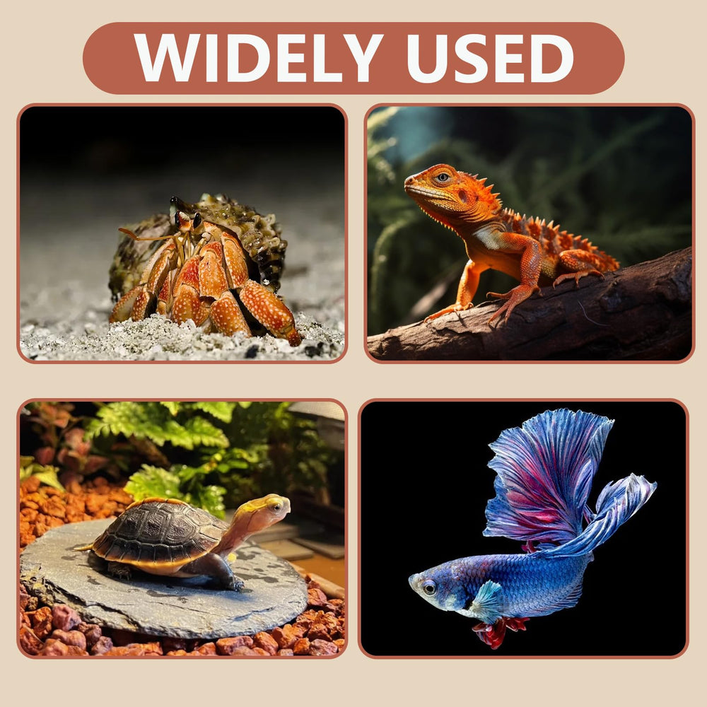 Swirge pet enrichment kit adds naturalistic terrain and hiding options.