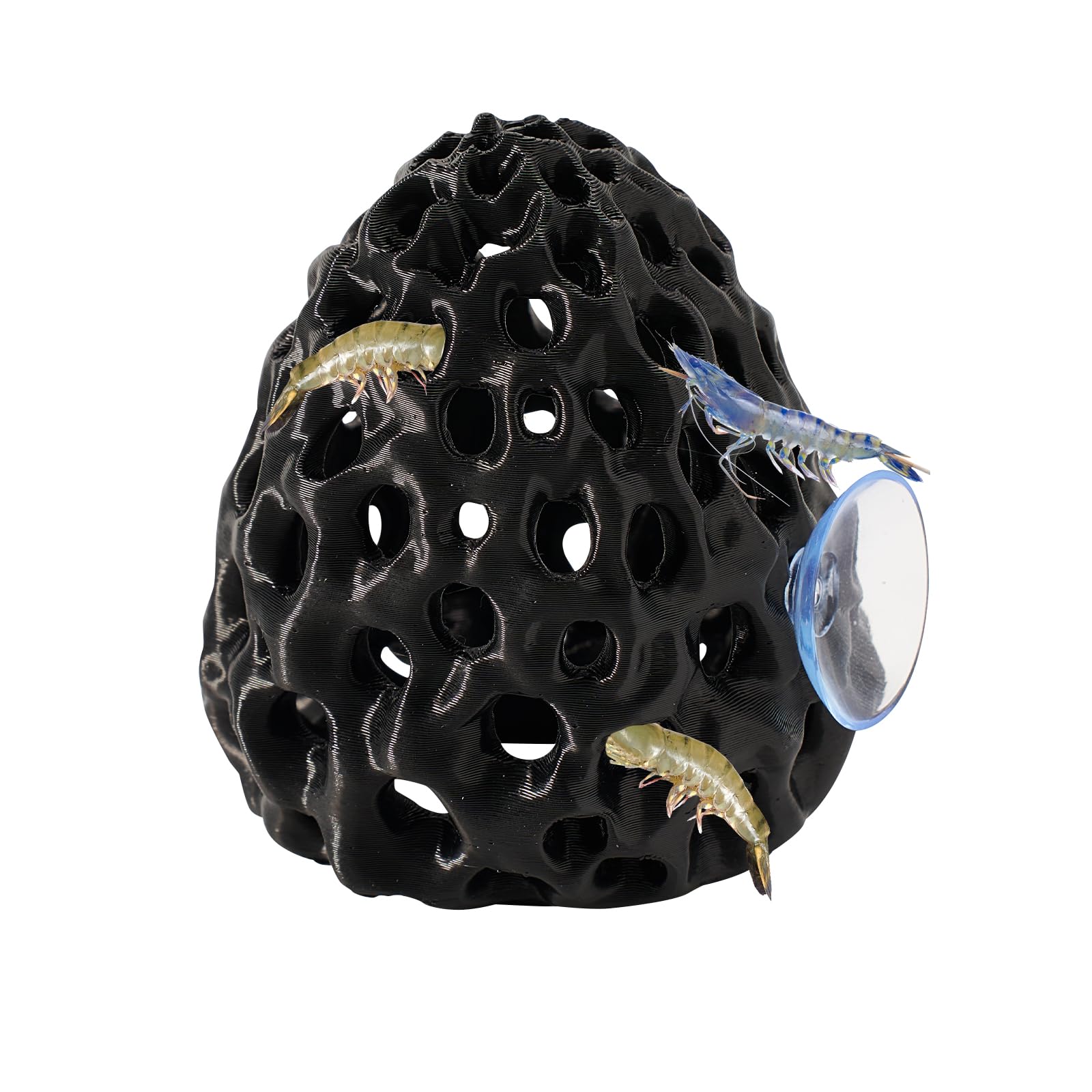 Swirge shrimp-dome-hide with suction cups offering a safe resting space for shrimp