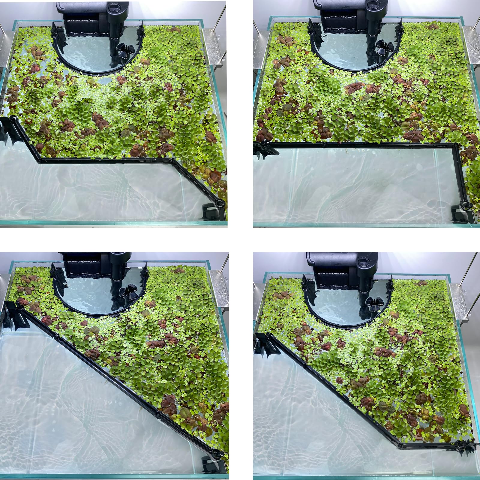 Switior Floating Plant Corral aquarium use creates separate plant zones