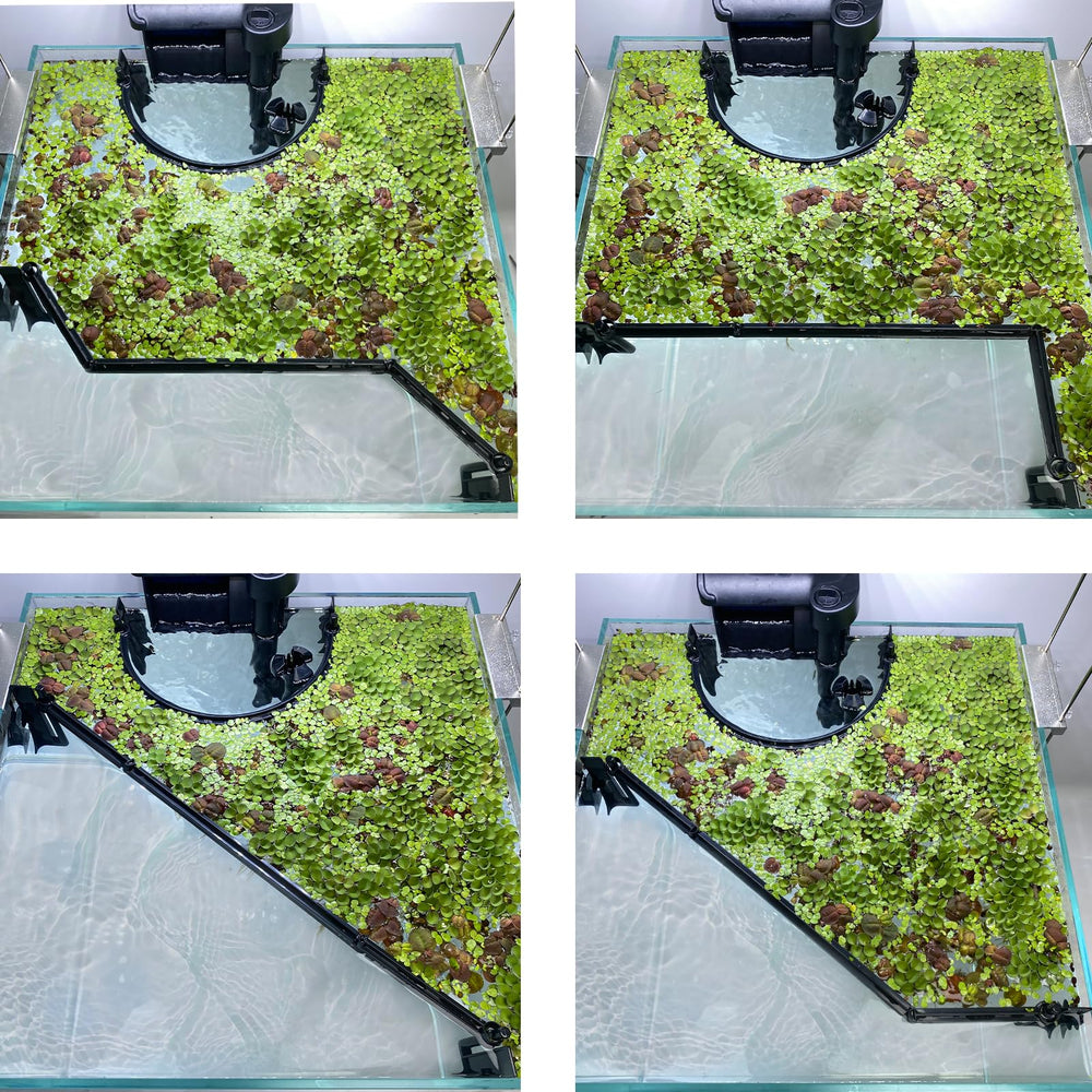 Switior Floating Plant Corral aquarium use creates separate plant zones