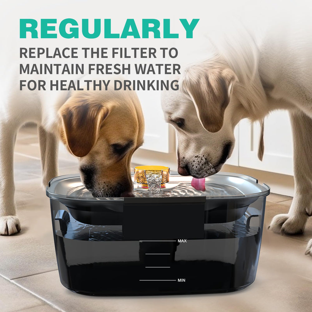SWSun BPA-free certification label ensures safe, chemical-free filtration components.