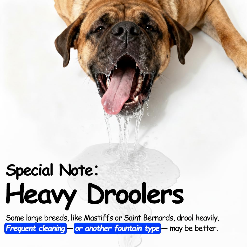 SwSun crystal-drill outlet attracts pets to drink more