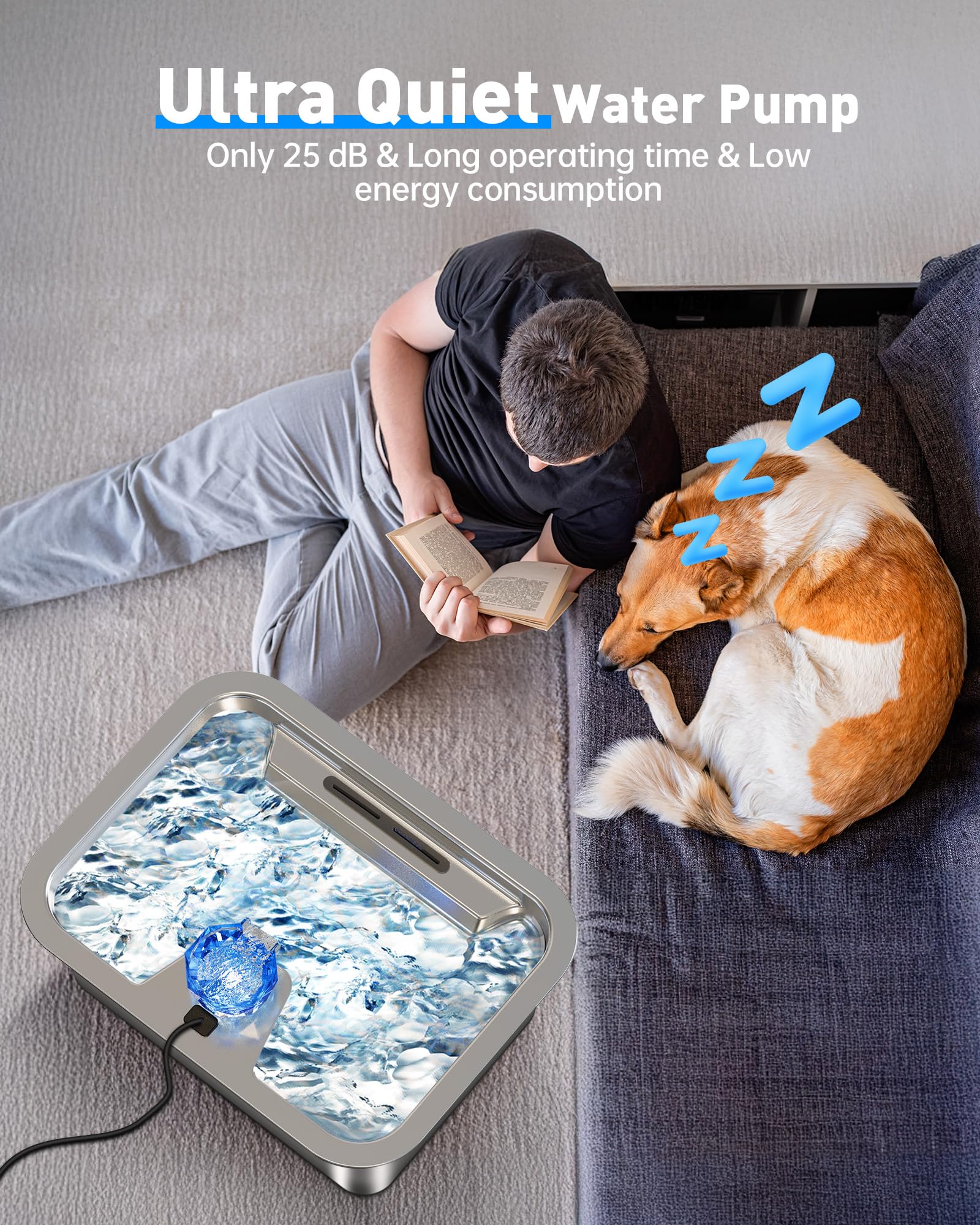SwSun deeper drinking area for large breeds and multi-pet use