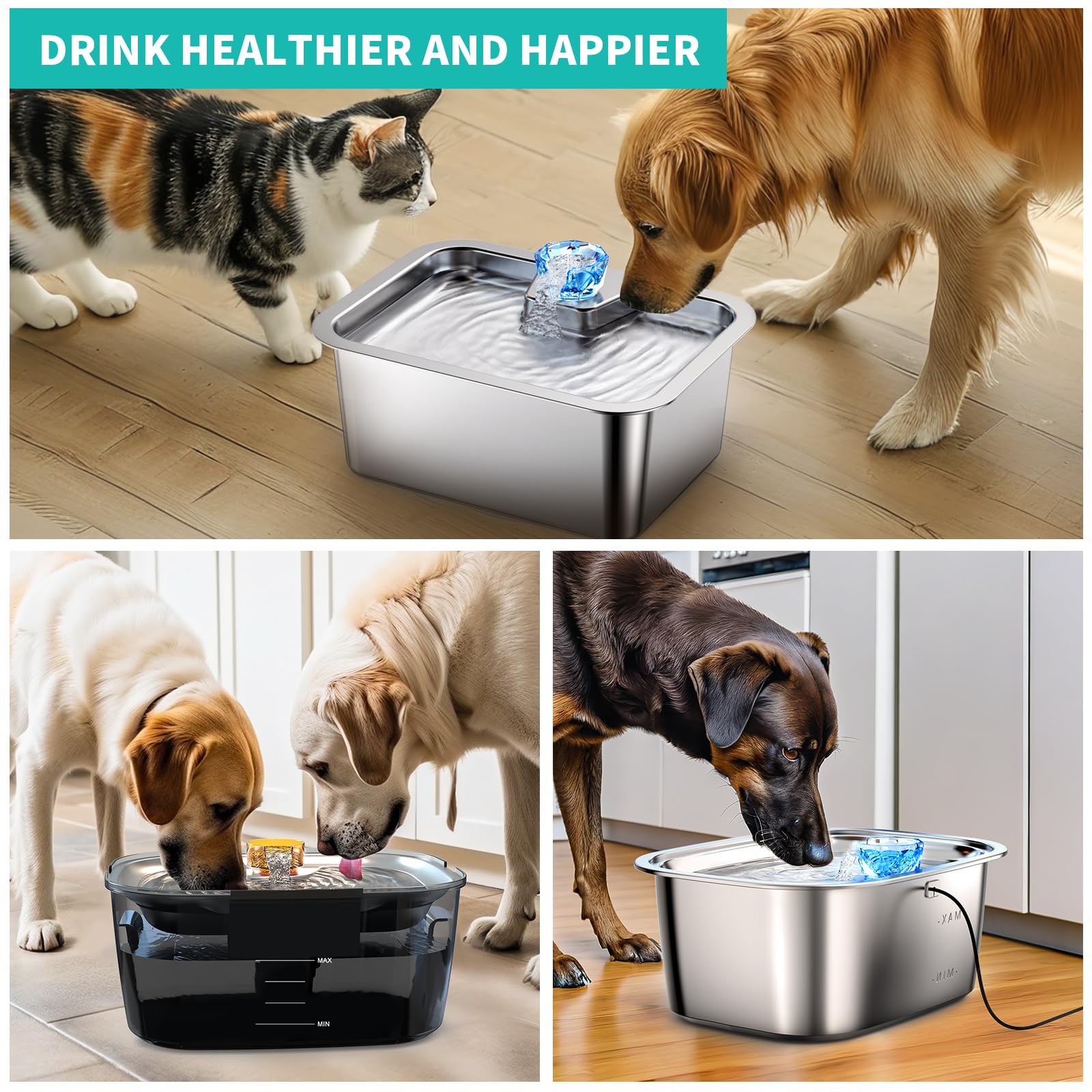 SWSun fresh-water result image illustrates improved hydration-friendly water for dogs.