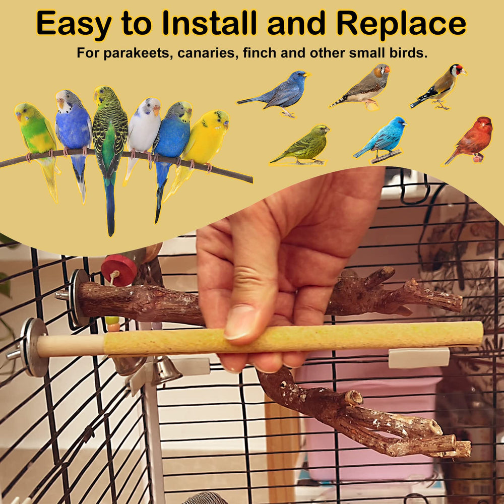 S&amp;X bird-perch-covers-in-use demonstrates tidy, low-maintenance bird care.