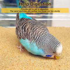 S&X ingestible grit aids crop function and digestion in daily use.