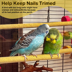 S&amp;X small-bird-perch-covers installation-ease shows quick, clean perch setup.
