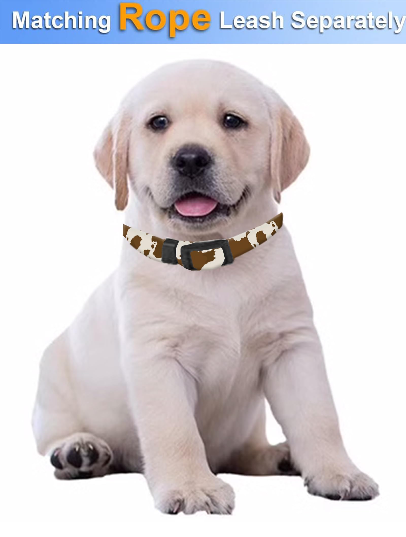SXboxing dog collar easy to wash by hand for busy owners.
