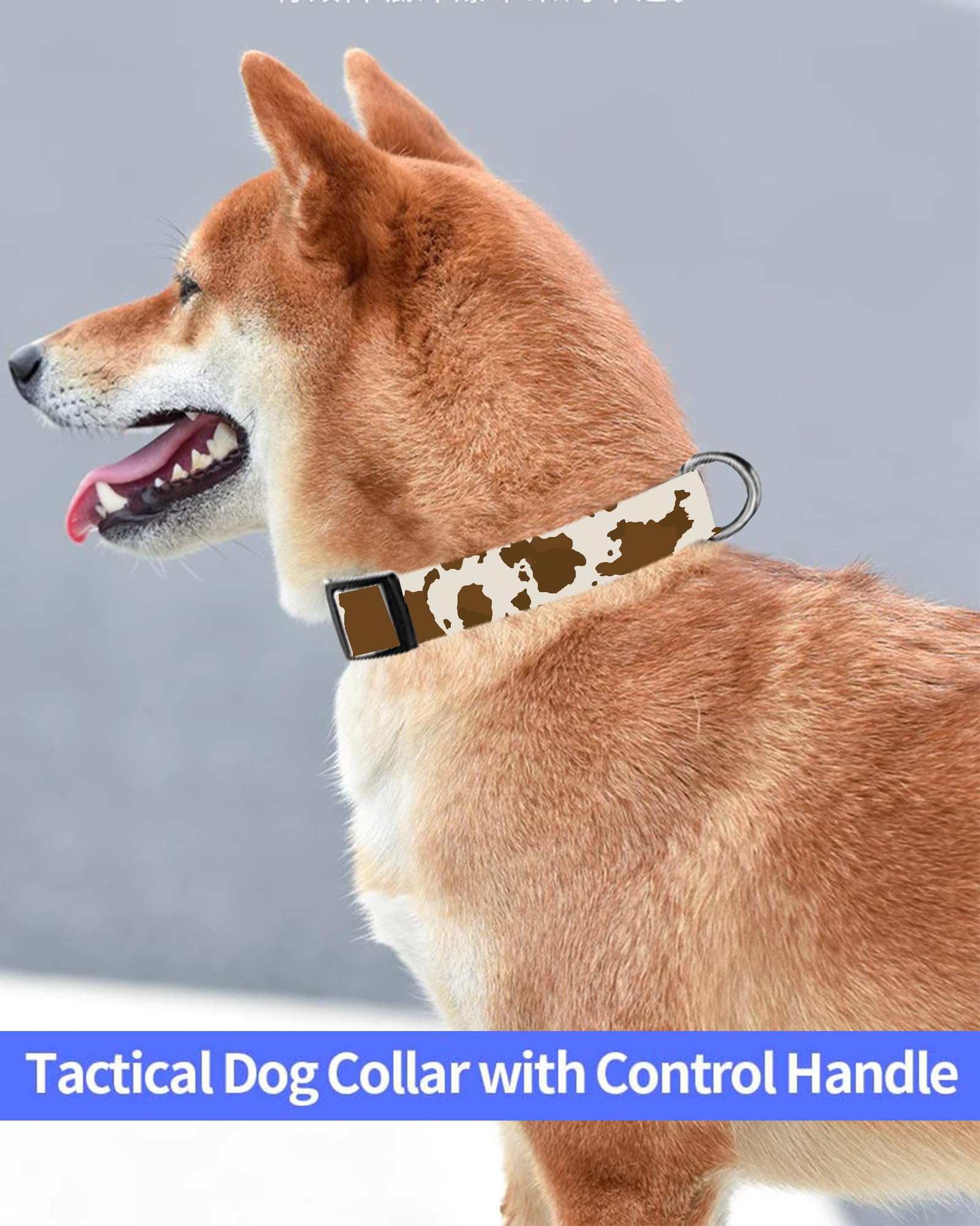SXboxing dog collar eco-friendly buckle and rust-resistant D-ring for outdoor use.