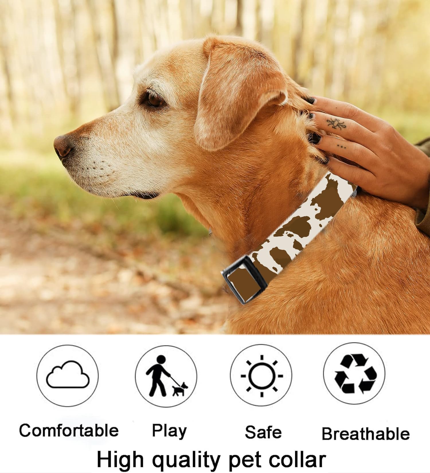 SXboxing retro cow print collar showcases stylish pattern while keeping pets comfortable.